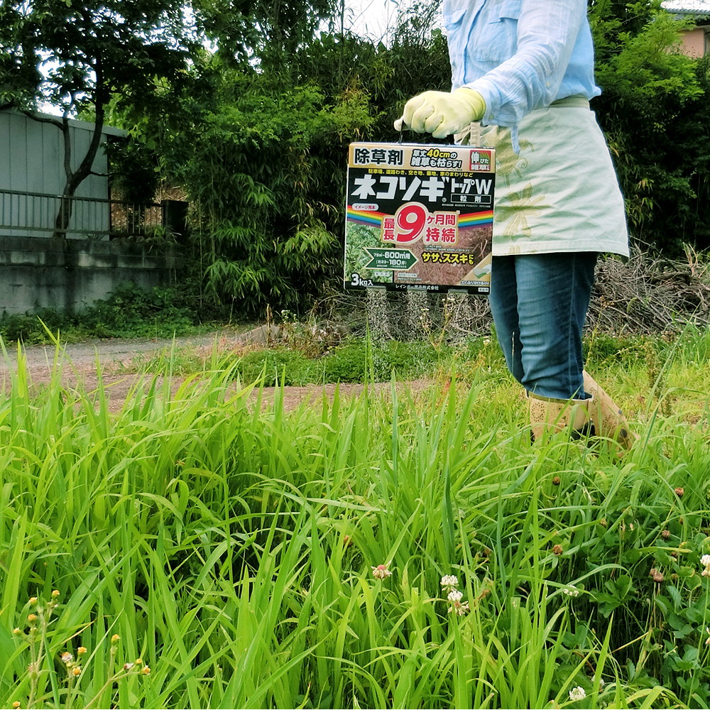 草丈の高い雑草にも使える粒状除草剤 駐車場や空き地など水場がない場所でも使いやすい ネコソギトップw 粒剤 3kg 宇佐美鉱油の総合通販サイト うさマート