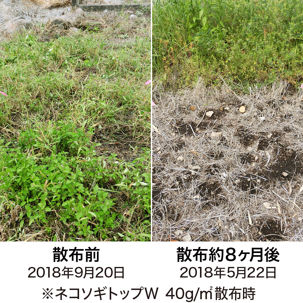 草丈の高い雑草にも使える粒状除草剤 駐車場や空き地など水場がない場所でも使いやすい ネコソギトップw 粒剤 5kg 宇佐美鉱油の総合通販サイト うさマート