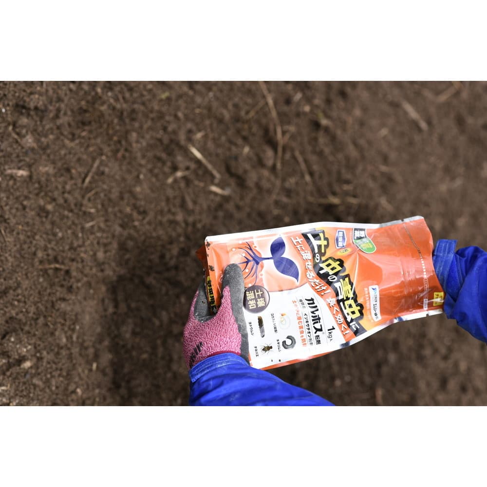 みのむし 駆除 カルホス