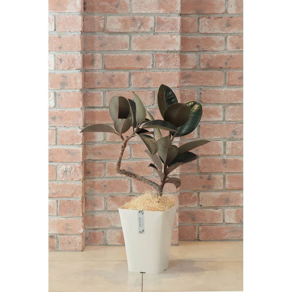 高級感のある光沢仕上げ 観葉植物にオススメです アップルウェアー グラシアポット 190型 宇佐美鉱油の総合通販サイト うさマート