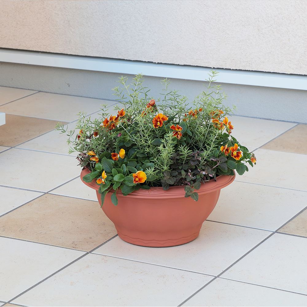 アップルウェアー クイーンボール 35型 ブラウン 宇佐美鉱油の総合通販サイト うさマート