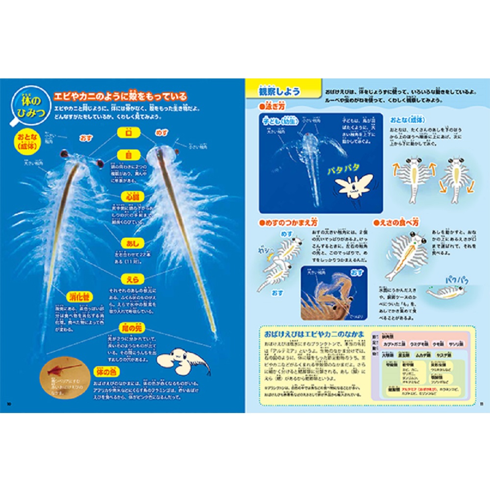 学研ステイフル 科学と学習presents おばけえびすいすい水族館 宇佐美鉱油の総合通販サイト うさマート